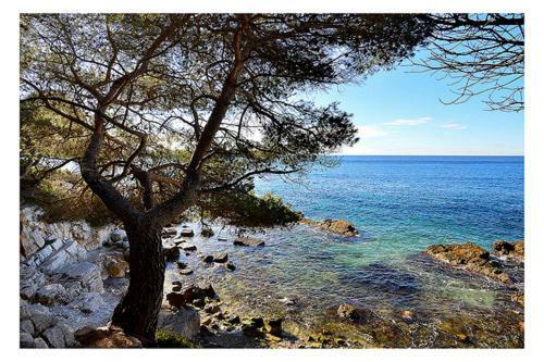 Apartament Suquet26 Cannes Zewnętrze zdjęcie